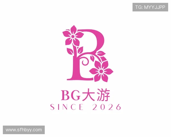 介绍BG大游
